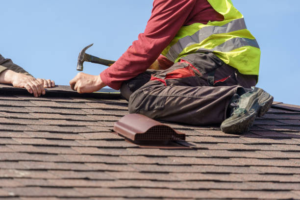Best Local Roofing Companies  in De Soto, IL