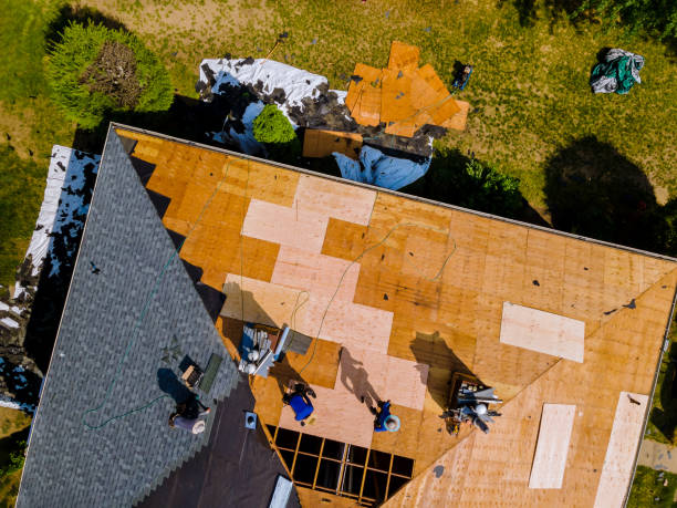 Best Roof Repair Specialists  in De Soto, IL