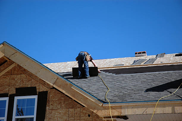 Roof Repair Estimates in De Soto, IL