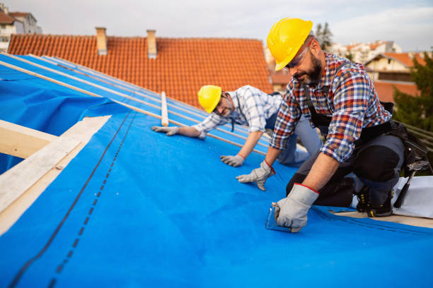 Best New Roof Installation  in De Soto, IL